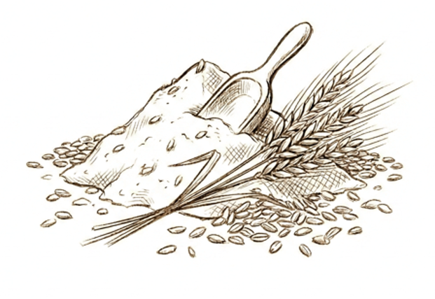 Grains A to Z sketch