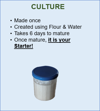 Culture Stage 1