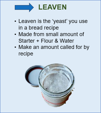 Leaven Stage 3