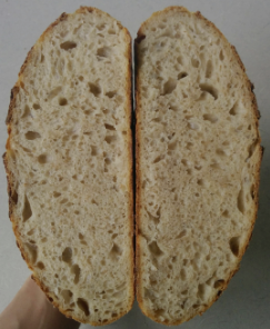 Over Proofed Bread