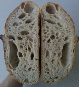 Under Proofed Bread